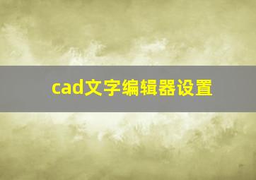 cad文字编辑器设置