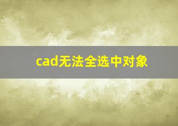 cad无法全选中对象