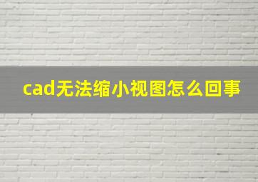 cad无法缩小视图怎么回事