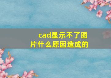 cad显示不了图片什么原因造成的