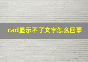 cad显示不了文字怎么回事