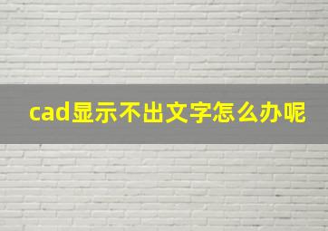 cad显示不出文字怎么办呢