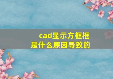 cad显示方框框是什么原因导致的