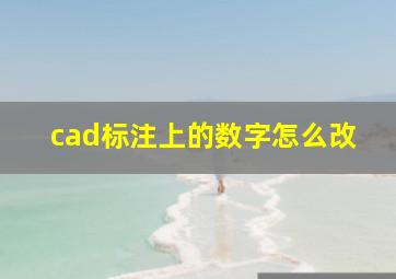 cad标注上的数字怎么改