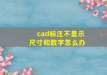 cad标注不显示尺寸和数字怎么办