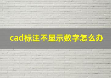 cad标注不显示数字怎么办