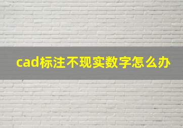 cad标注不现实数字怎么办