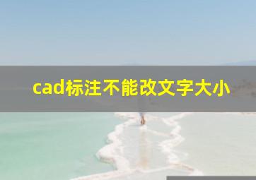 cad标注不能改文字大小