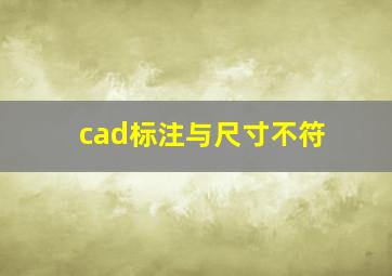 cad标注与尺寸不符