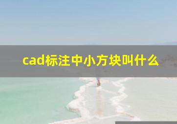 cad标注中小方块叫什么