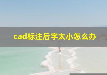 cad标注后字太小怎么办