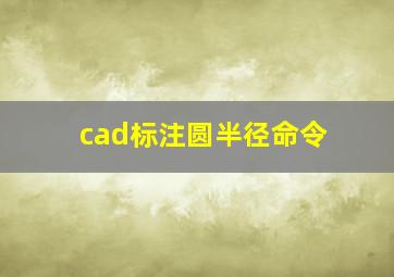 cad标注圆半径命令