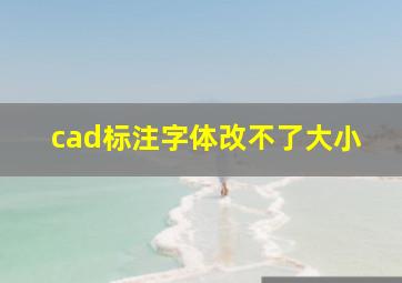 cad标注字体改不了大小