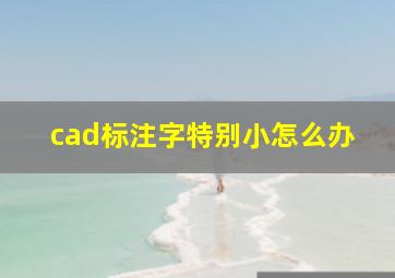 cad标注字特别小怎么办