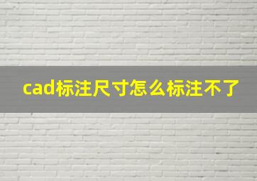 cad标注尺寸怎么标注不了