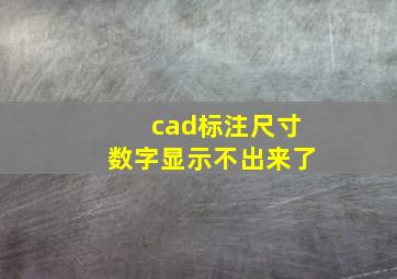 cad标注尺寸数字显示不出来了