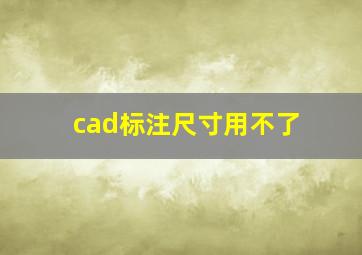 cad标注尺寸用不了