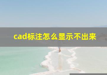 cad标注怎么显示不出来