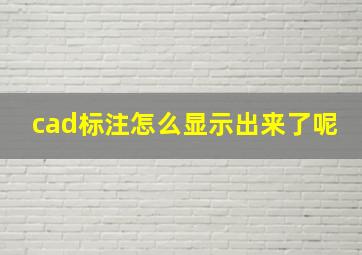 cad标注怎么显示出来了呢