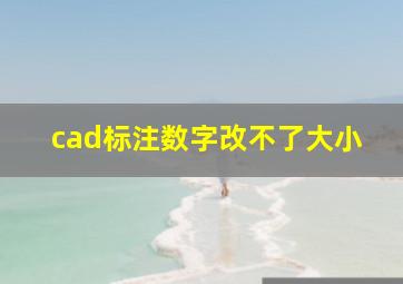 cad标注数字改不了大小