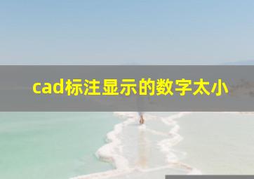 cad标注显示的数字太小