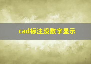 cad标注没数字显示