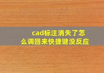 cad标注消失了怎么调回来快捷键没反应