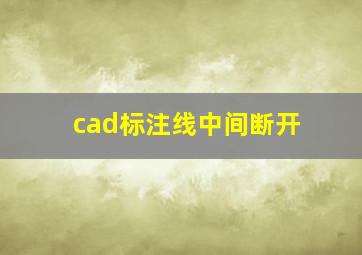 cad标注线中间断开