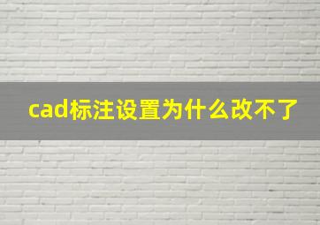 cad标注设置为什么改不了