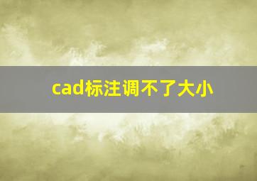 cad标注调不了大小