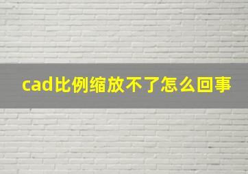 cad比例缩放不了怎么回事