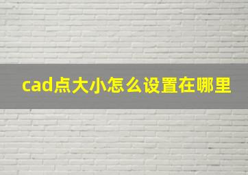 cad点大小怎么设置在哪里