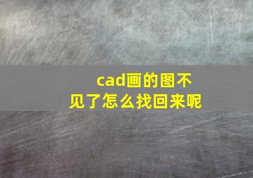 cad画的图不见了怎么找回来呢