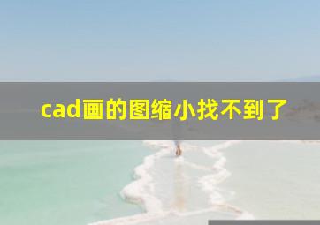 cad画的图缩小找不到了