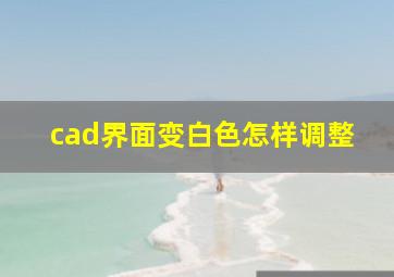 cad界面变白色怎样调整