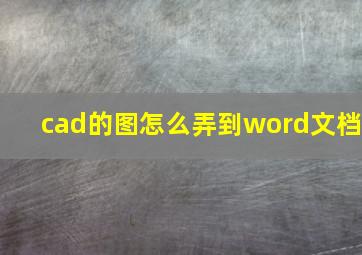 cad的图怎么弄到word文档