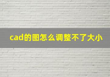 cad的图怎么调整不了大小