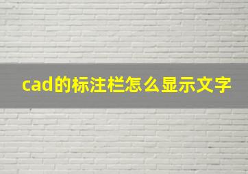 cad的标注栏怎么显示文字