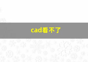 cad看不了