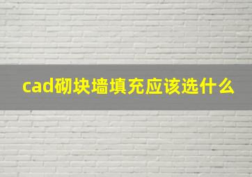 cad砌块墙填充应该选什么