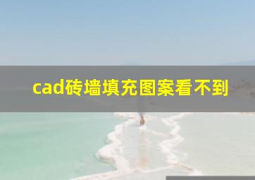 cad砖墙填充图案看不到