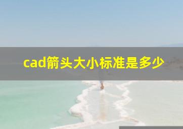 cad箭头大小标准是多少