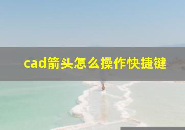 cad箭头怎么操作快捷键