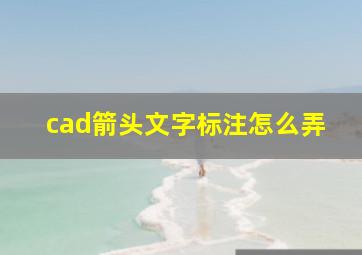 cad箭头文字标注怎么弄