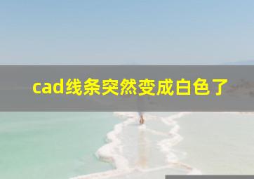 cad线条突然变成白色了