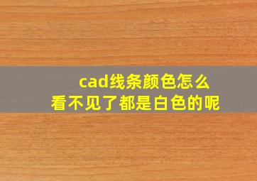 cad线条颜色怎么看不见了都是白色的呢