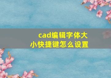 cad编辑字体大小快捷键怎么设置