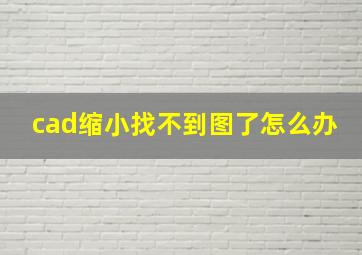 cad缩小找不到图了怎么办