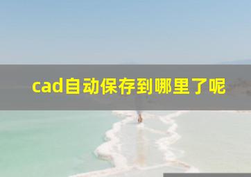 cad自动保存到哪里了呢