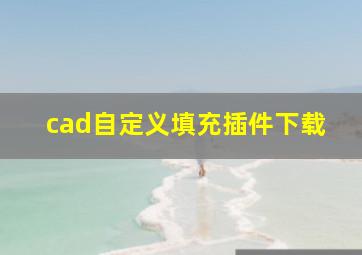 cad自定义填充插件下载